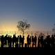 Refugees and immigrants looking for a new life. Column of migrants near the state borders. Fence and barbed wire. Surveillance, supervised. Abandon their lands for a better future. 3d render. Silhouette